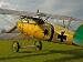 Albatros D.Va 5284/17 reproduction built by The Vintage Aviator LTD (TVAL)